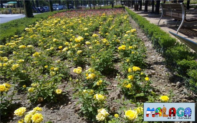 Jardines de Pedro Luis Alonso